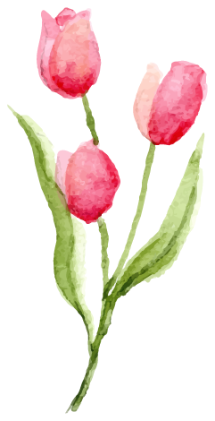 花イラスト