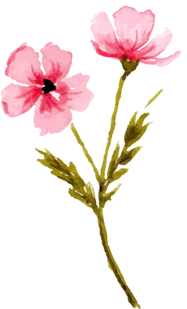 花イラスト
