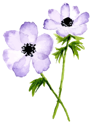 花イラスト