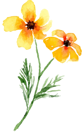 花イラスト