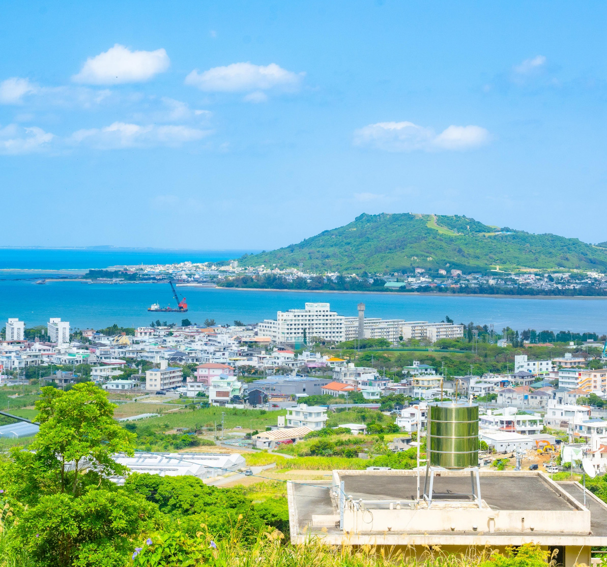 沖縄の街並みと海