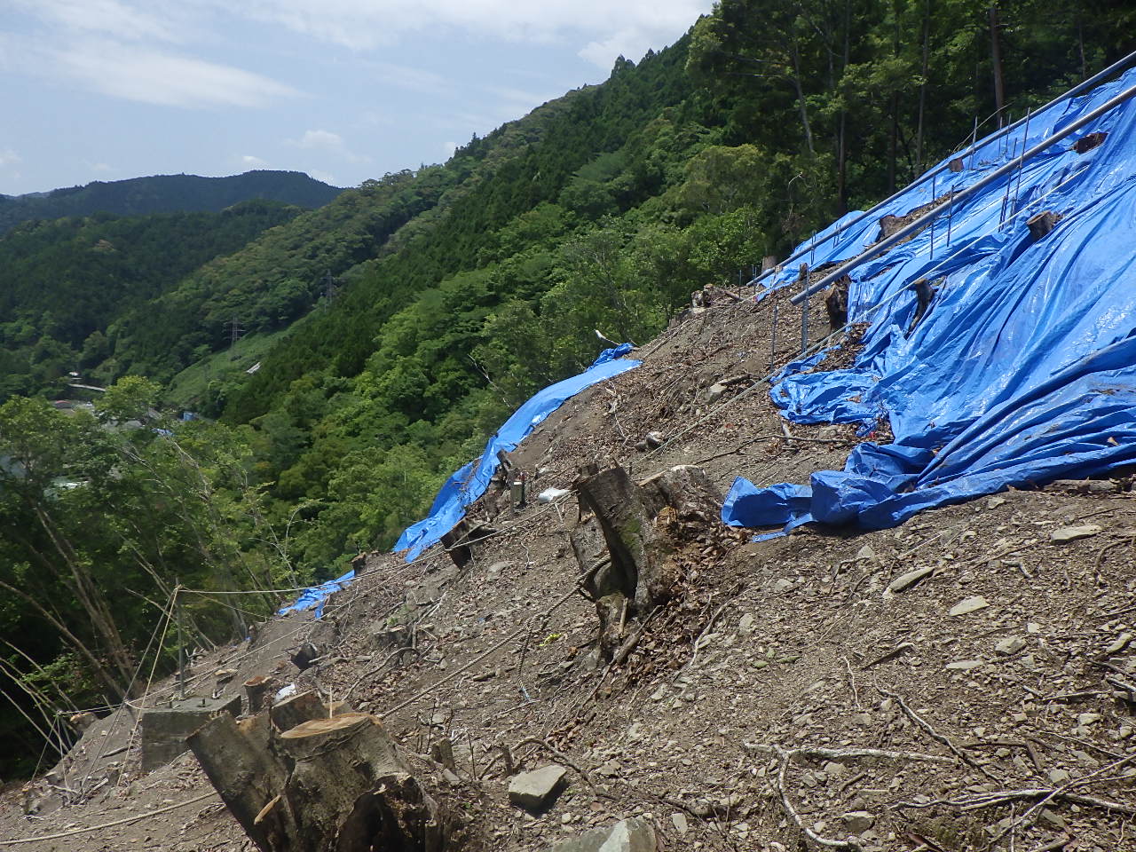 R6那土　国道195号　那賀・朴野　（R6災30）道路復旧工事（施工前）