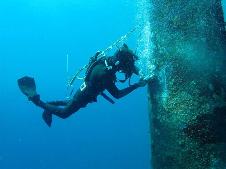 潜水・海洋調査