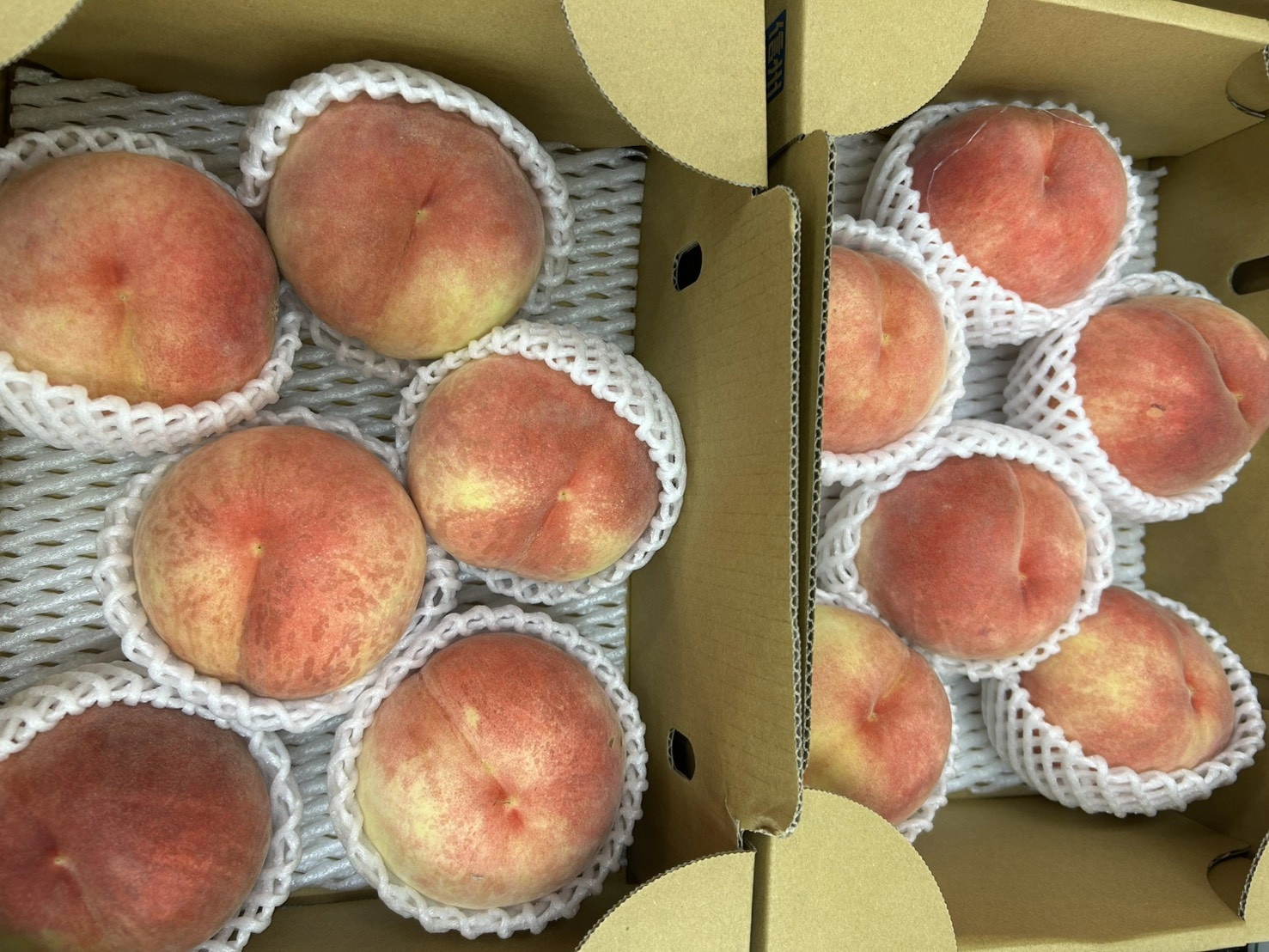 鮮度へのこだわり