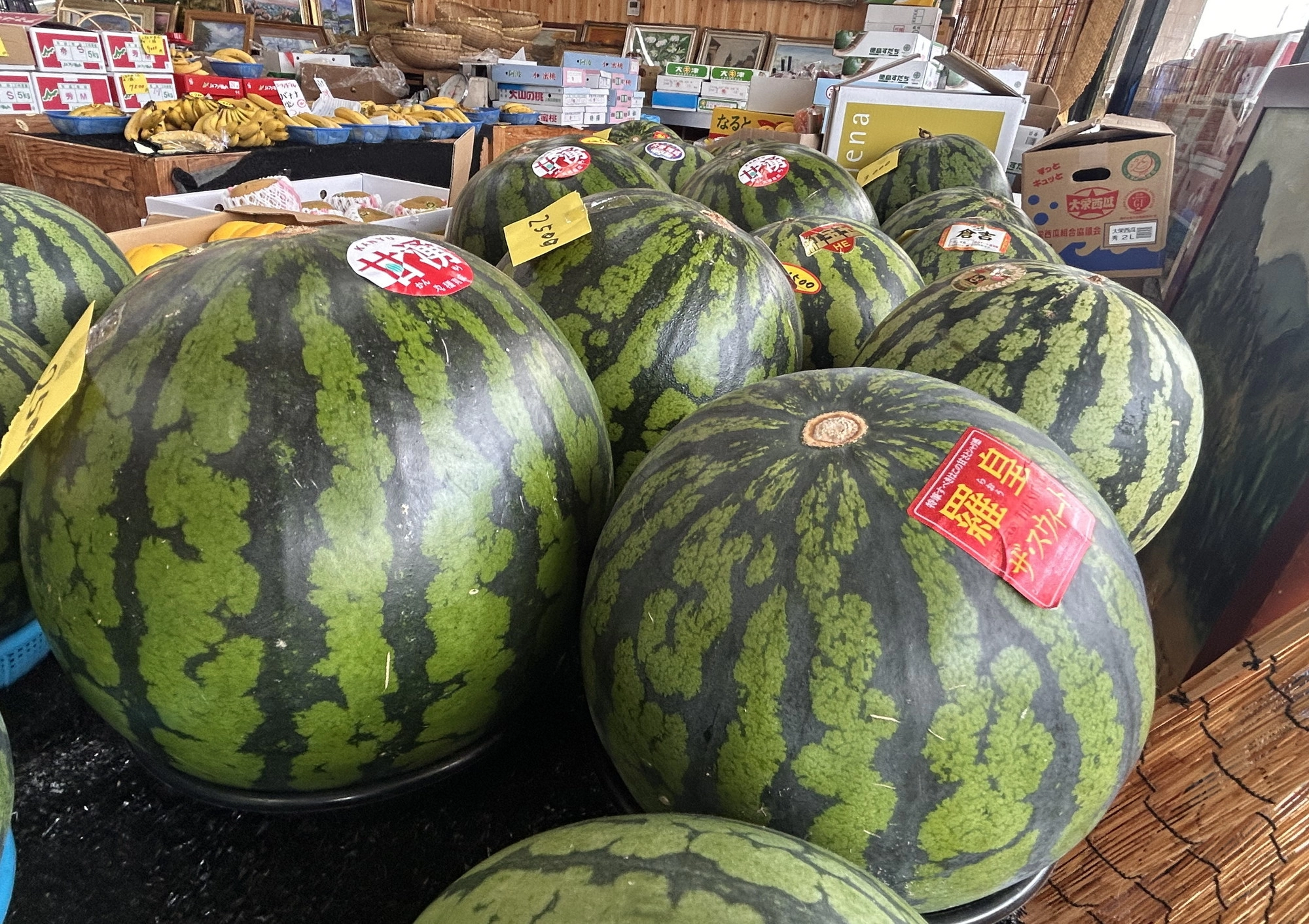 豊富な品揃え