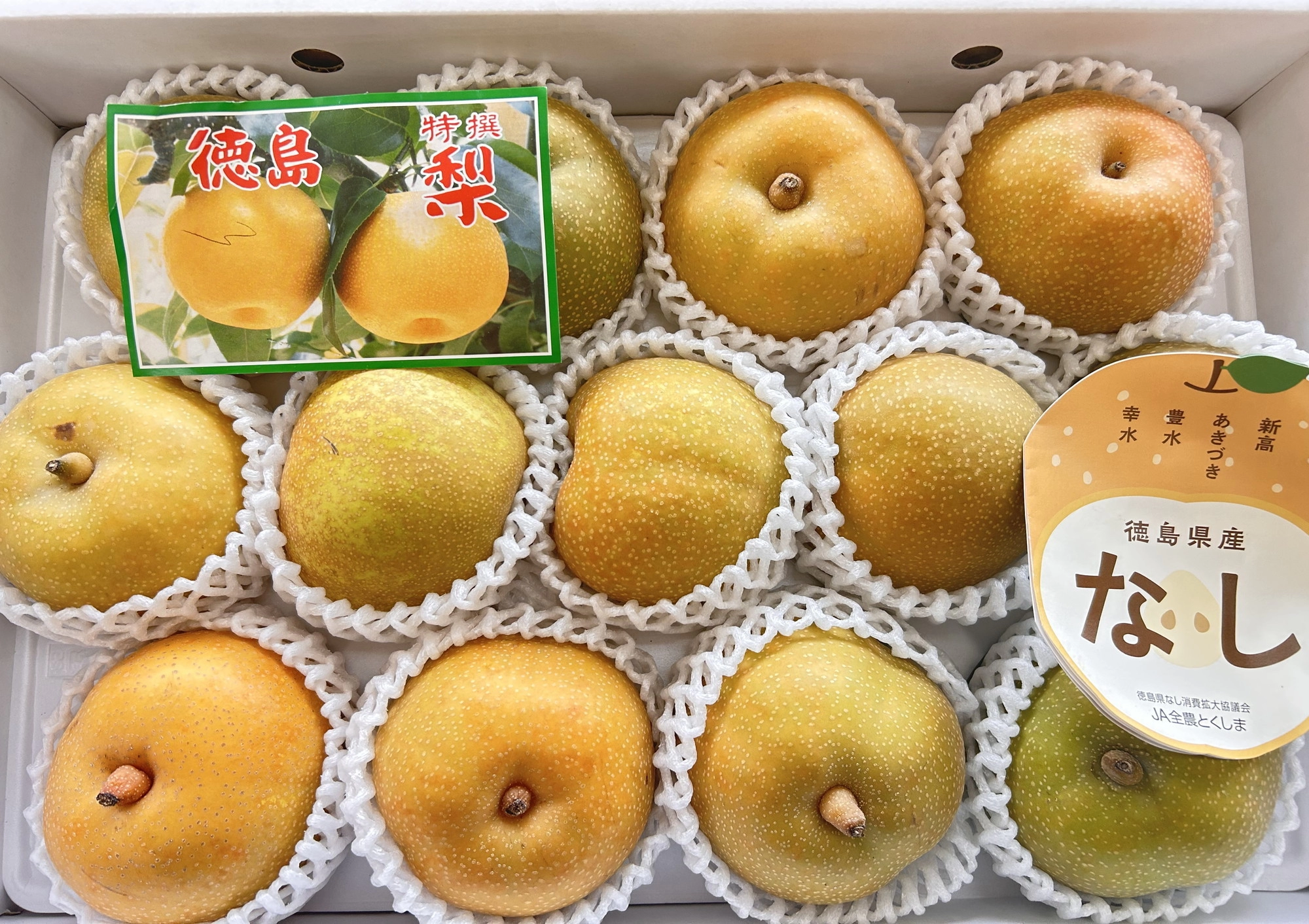 野菜・果物の販売