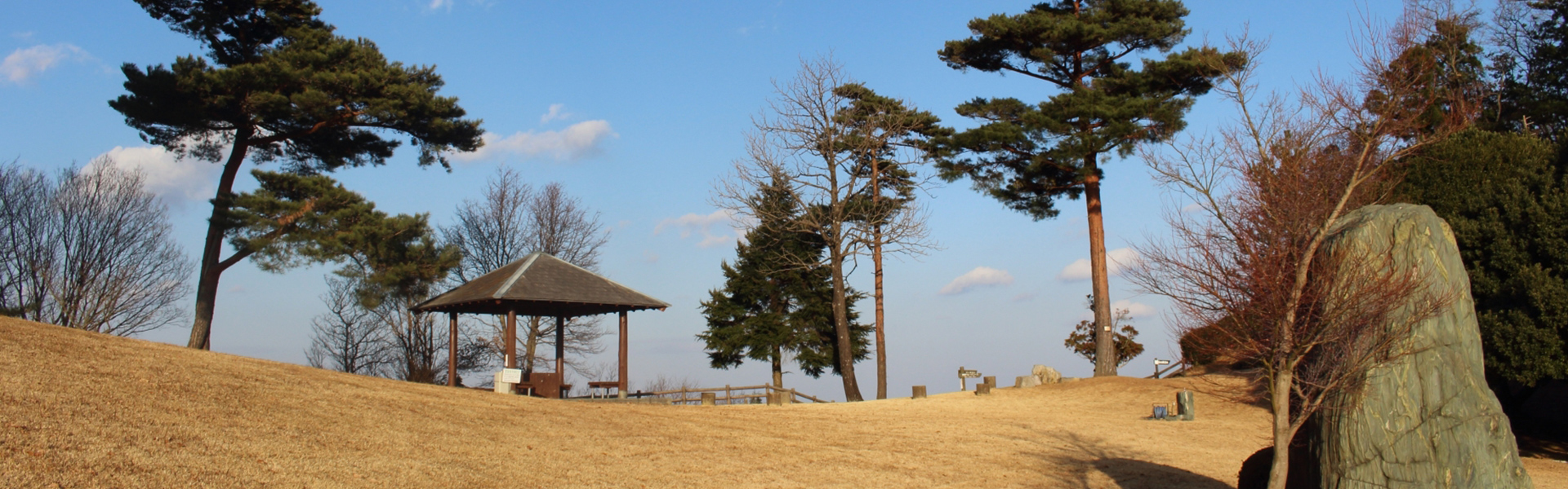 神山の風景