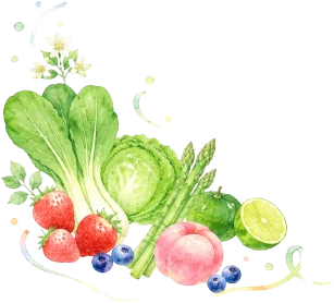 青果イラスト