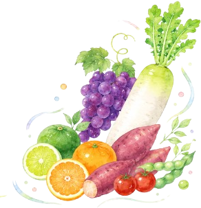 青果イラスト
