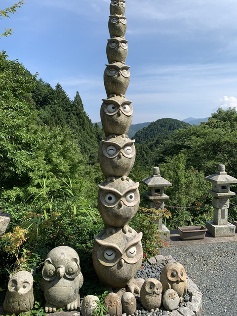千鶴寺のフクロウ