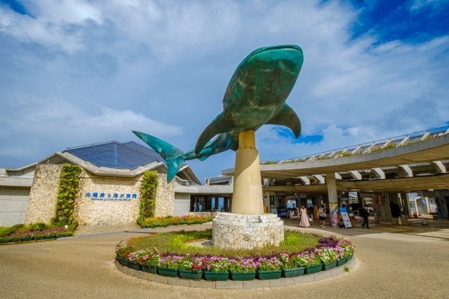 美ら海水族館・海洋博公園