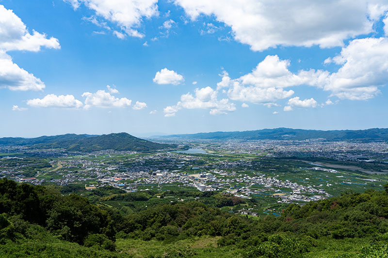 折口組の現場管理風景