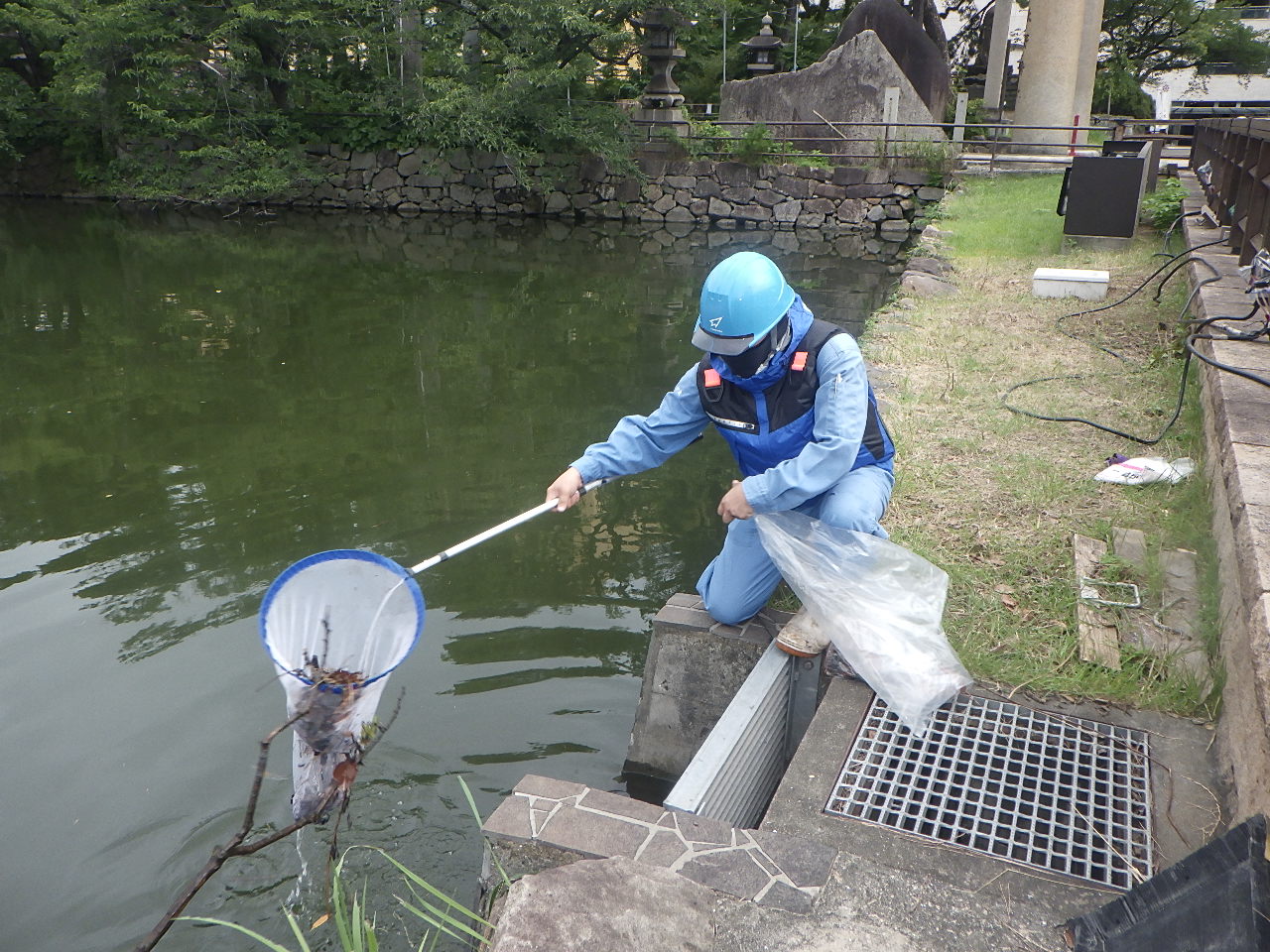 池の浮遊物回収作業