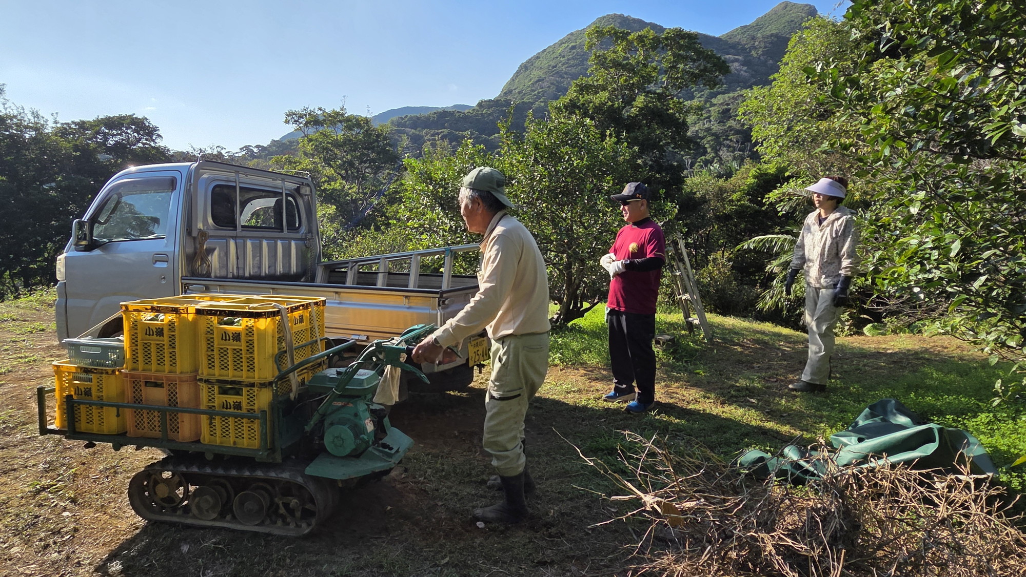 勝山の自社農園で収穫作業をするスタッフ