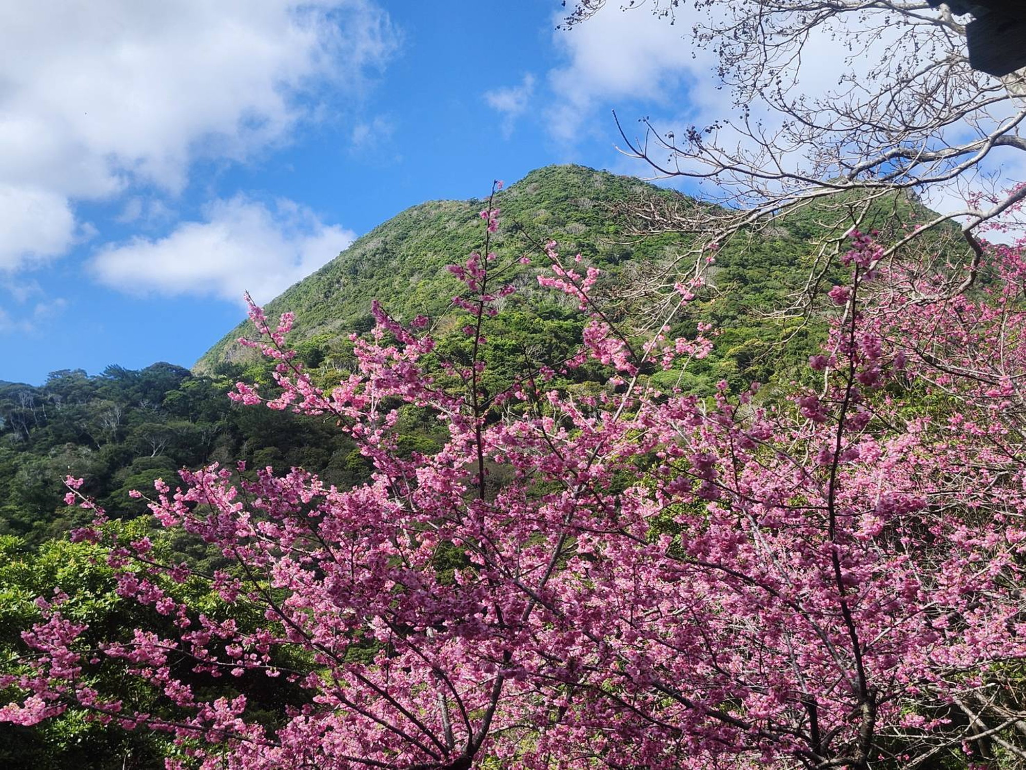 名護市勝山の山並み