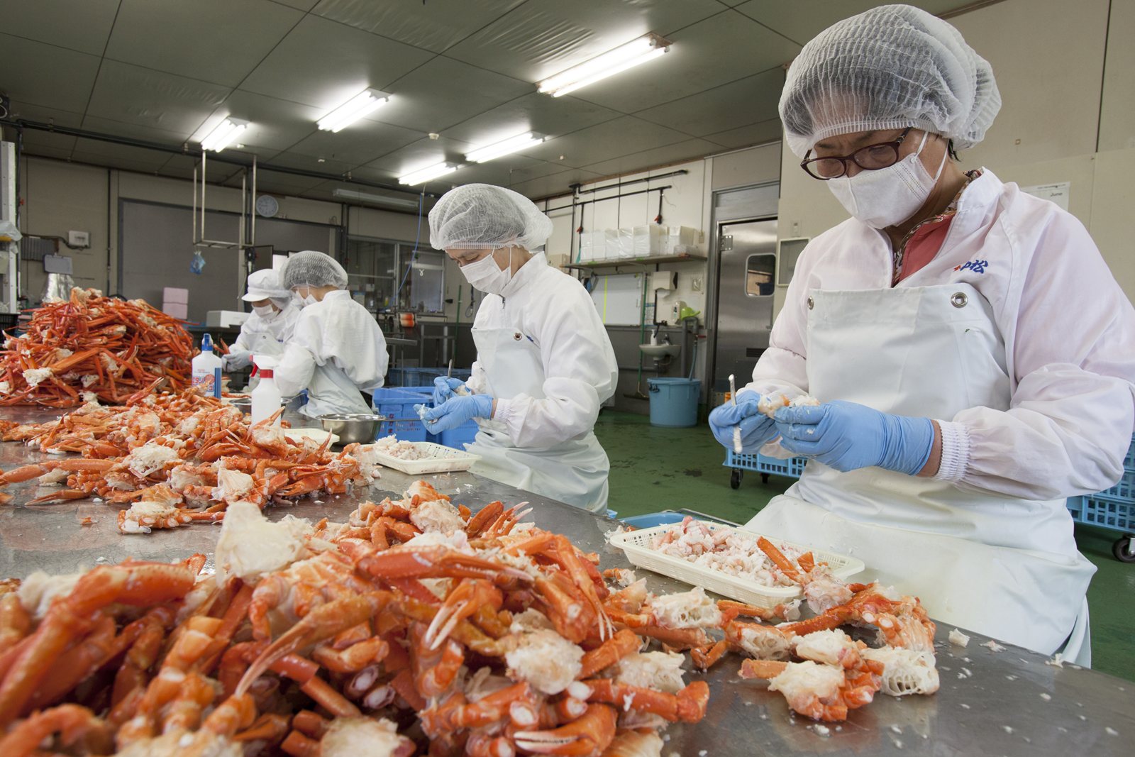 加工場での身出し作業