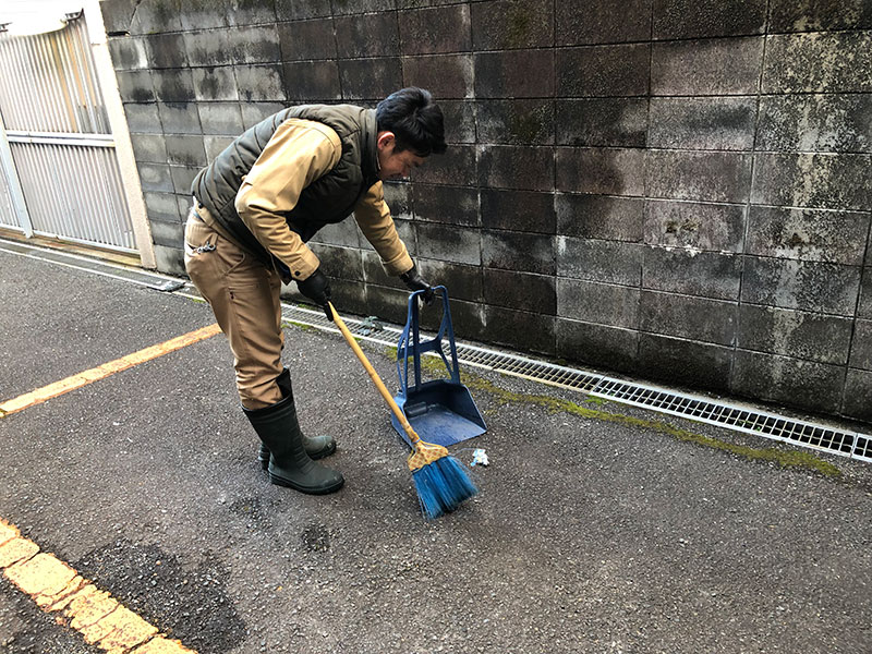 敷地内の掃き掃除