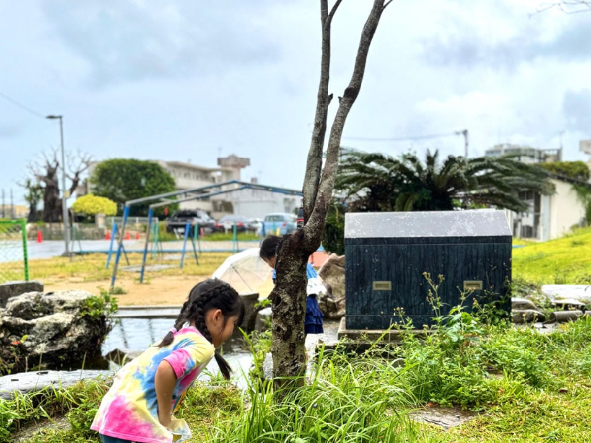 草むらで生きものを探す子ども