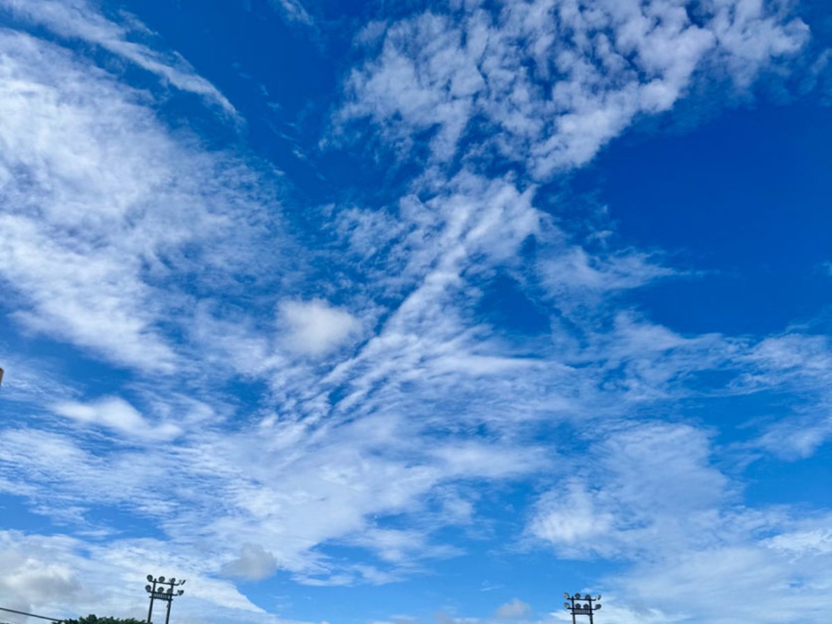 7月