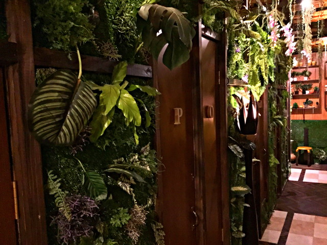館内の植栽