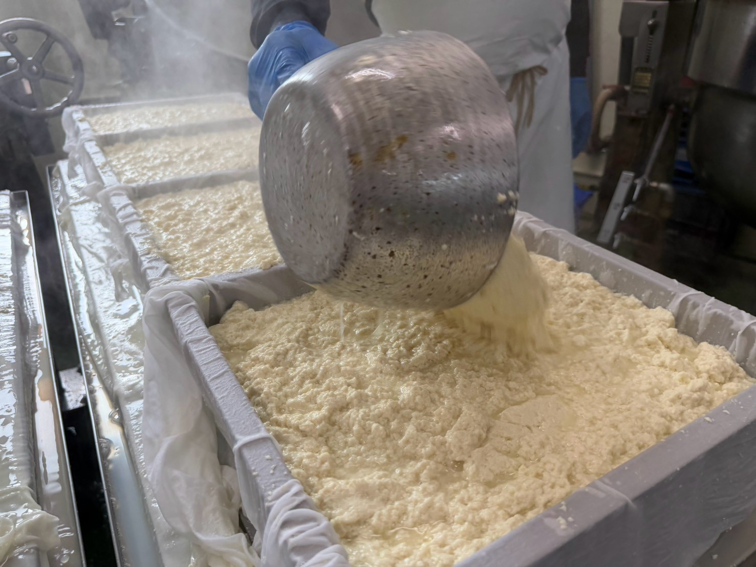 MOLDING & PRESSING