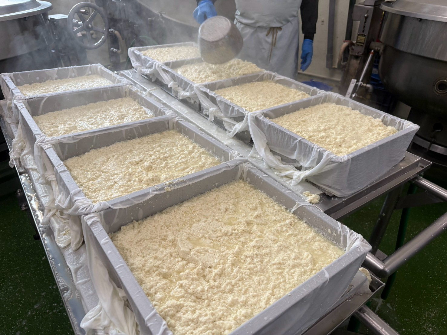 Molds in a row
