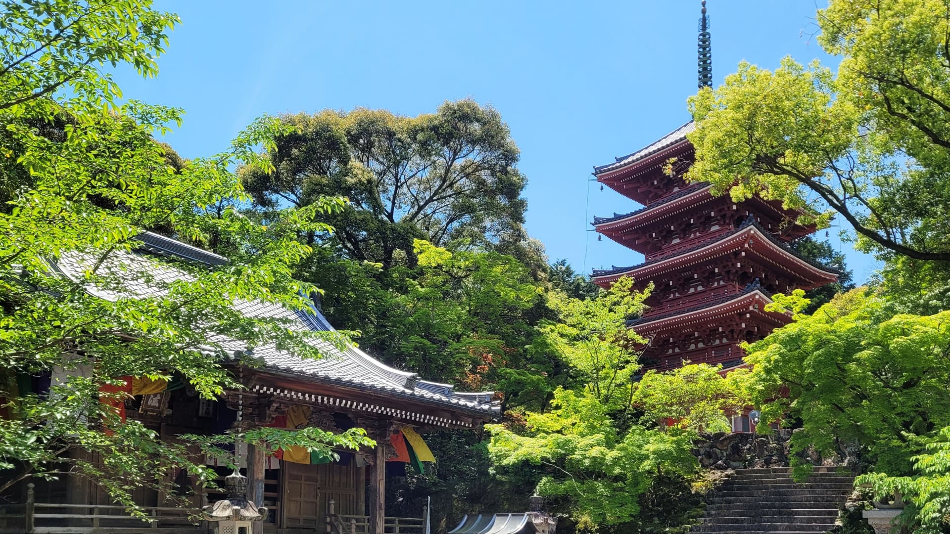 貸切・観光案内