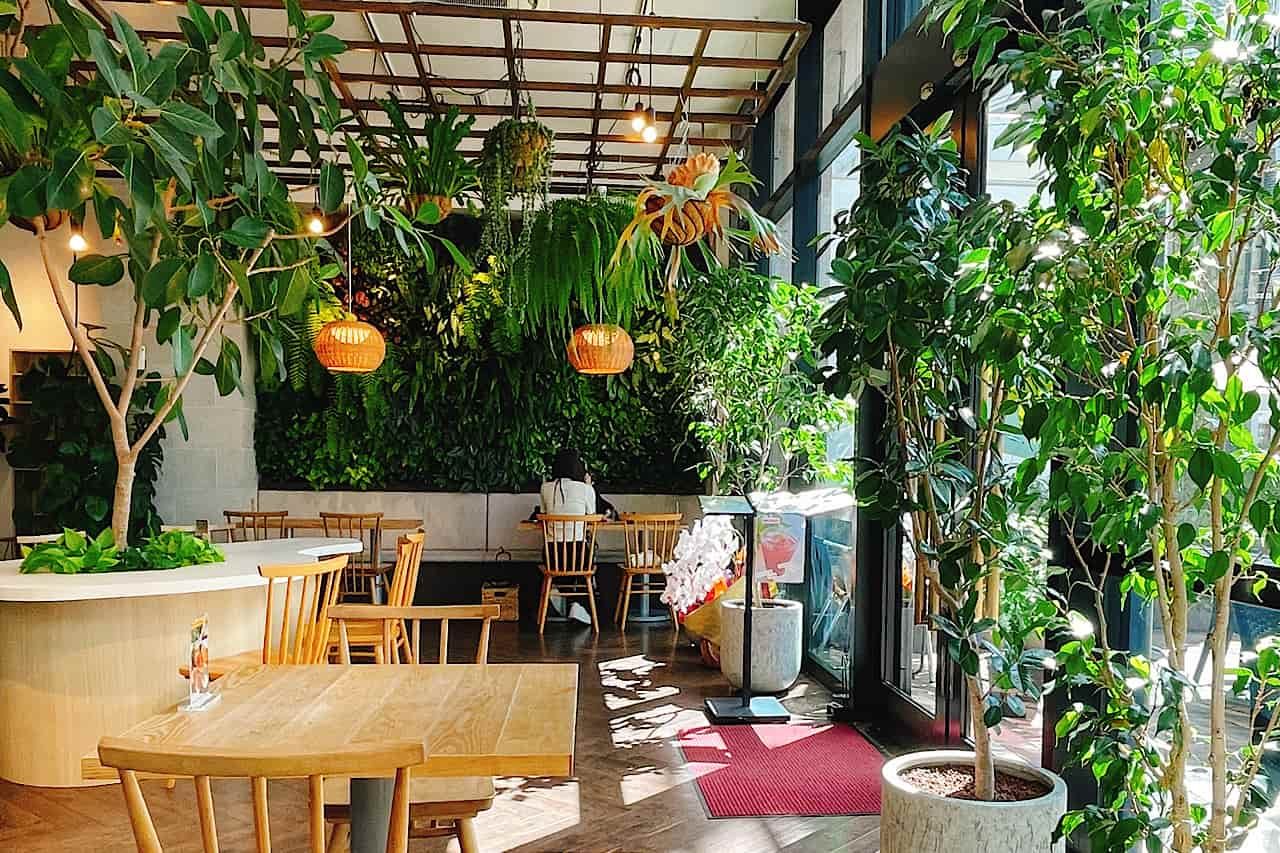 GREEN&CAFE 店内のグリーンウォール