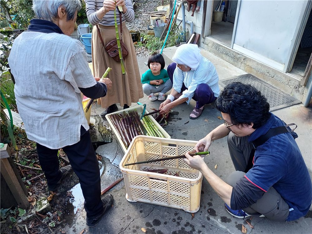 タケノコの下処理