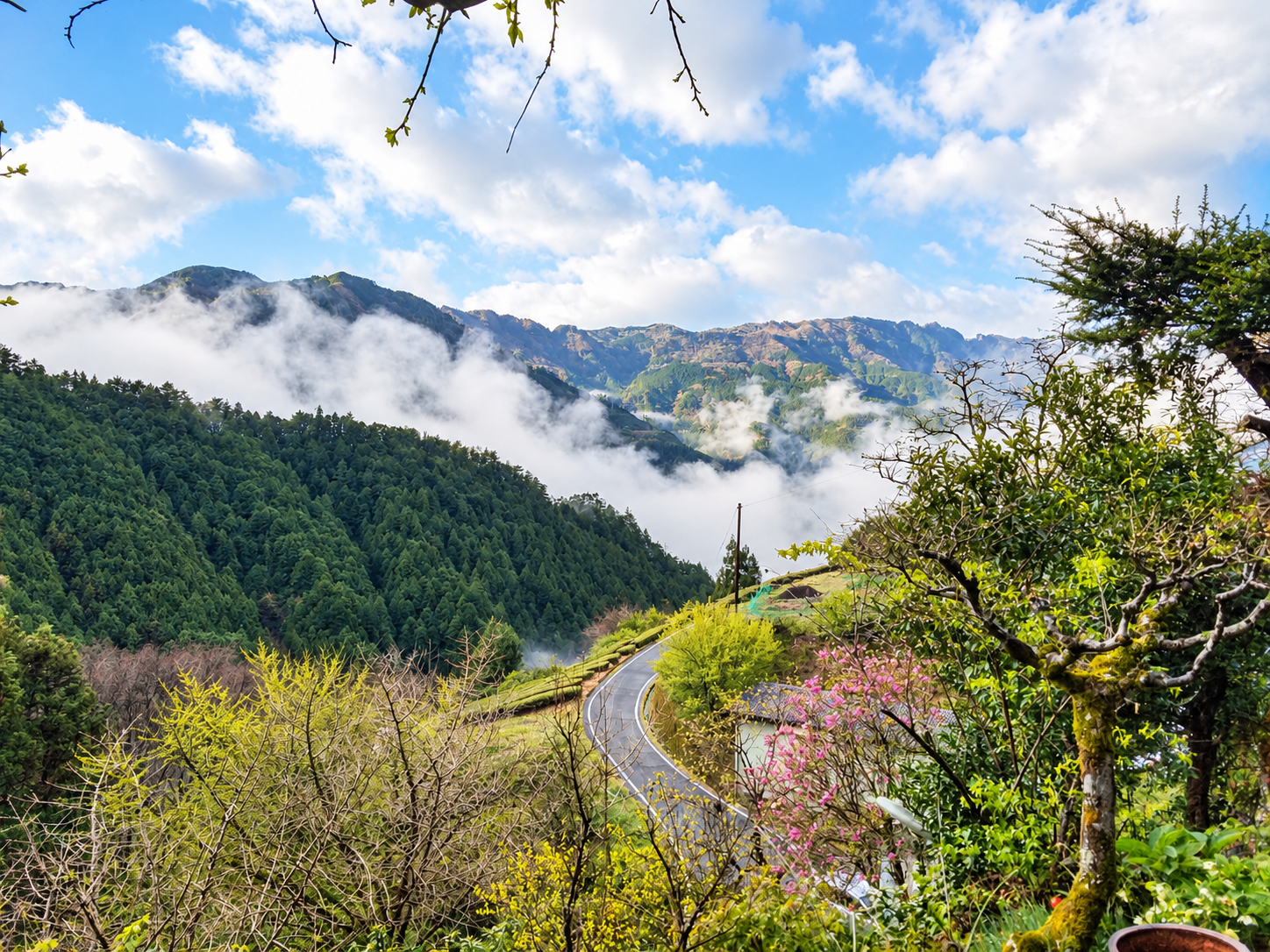 大川村の風景