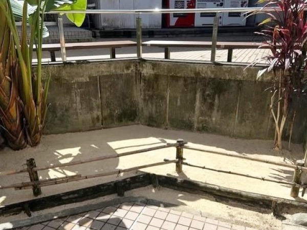 琉球大学の敷地