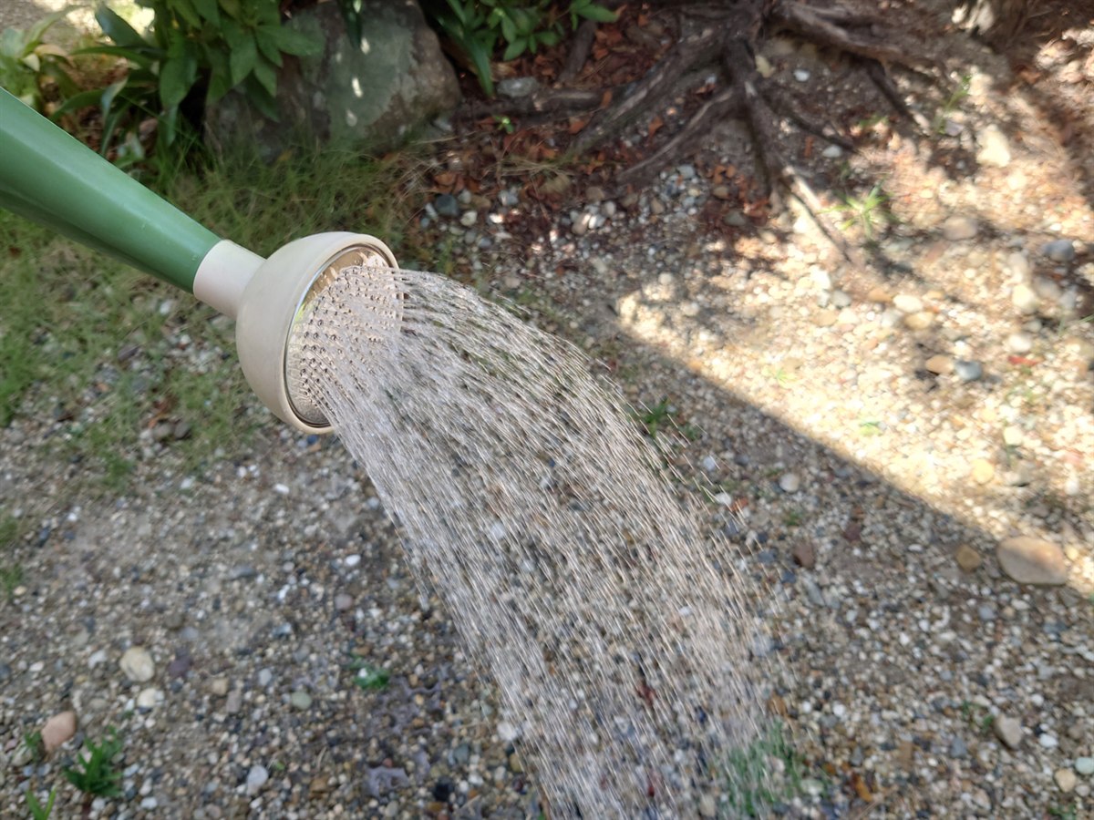 STEP5 散水