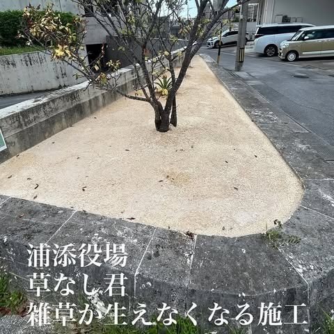 公式Instagramの投稿