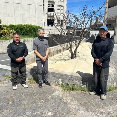 公式Instagramの投稿