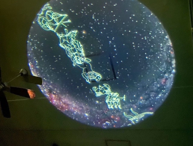 ととろの活動の様子
