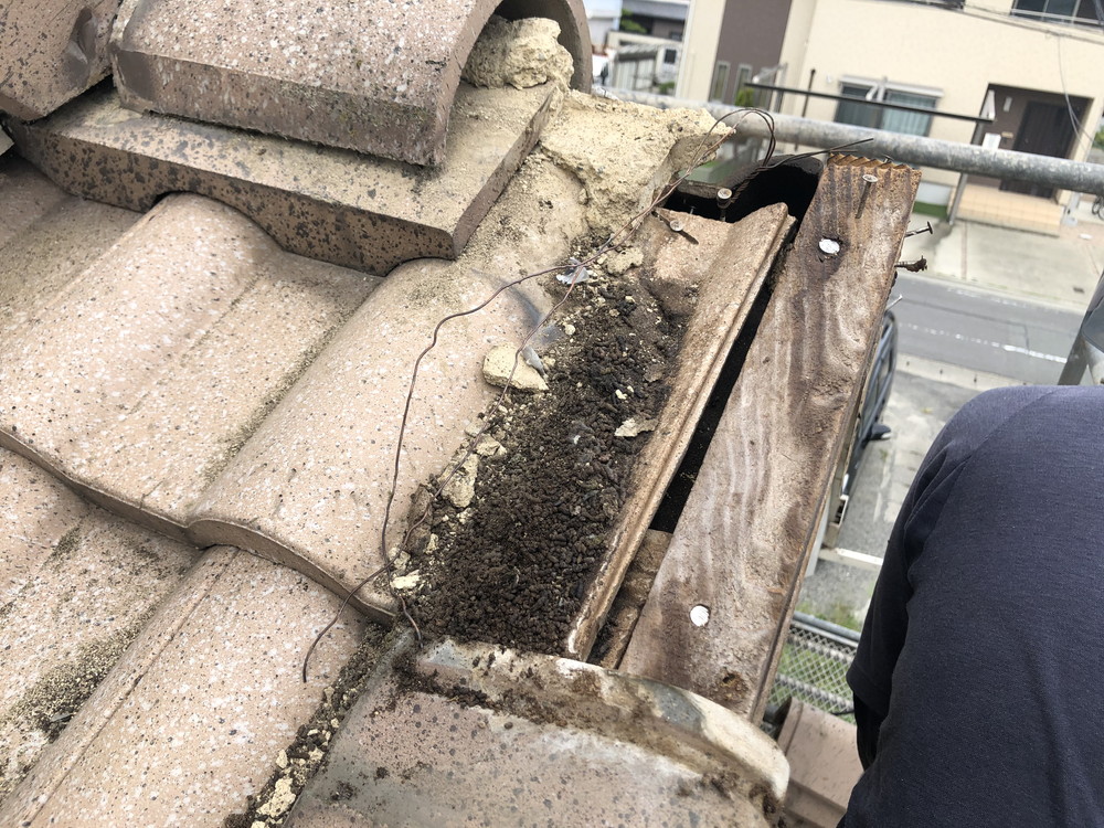 棟瓦の内部にたまったコウモリの糞