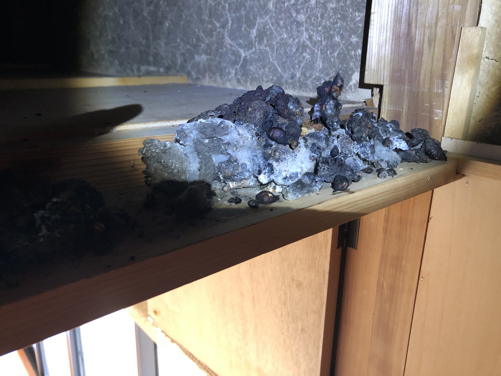 同じ場所に繰り返しされた糞（ため糞）