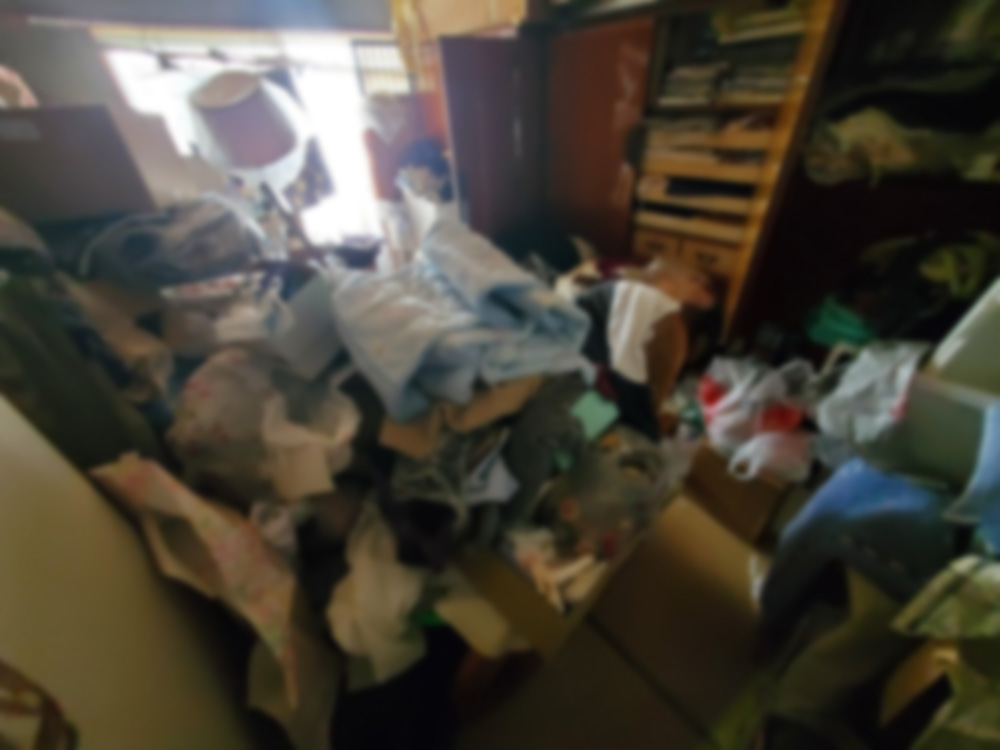 物が積み重なった室内（清掃前）