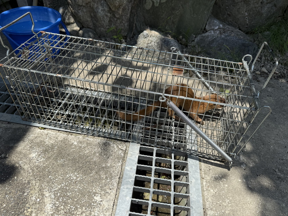 有害鳥獣駆除対策の施工写真