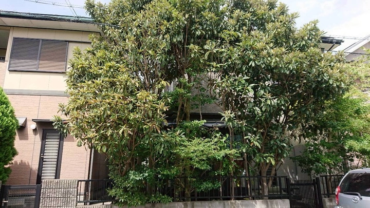 施工前