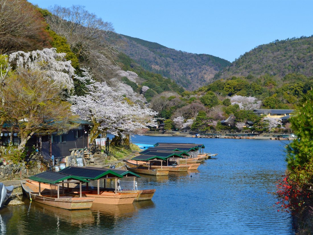 嵐山の風景
