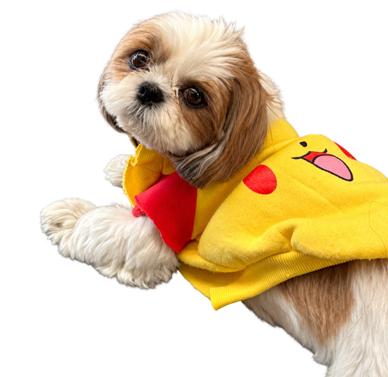 看板犬ふくちゃん