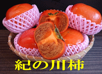 紀の川柿