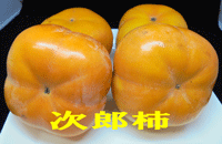 次郎柿