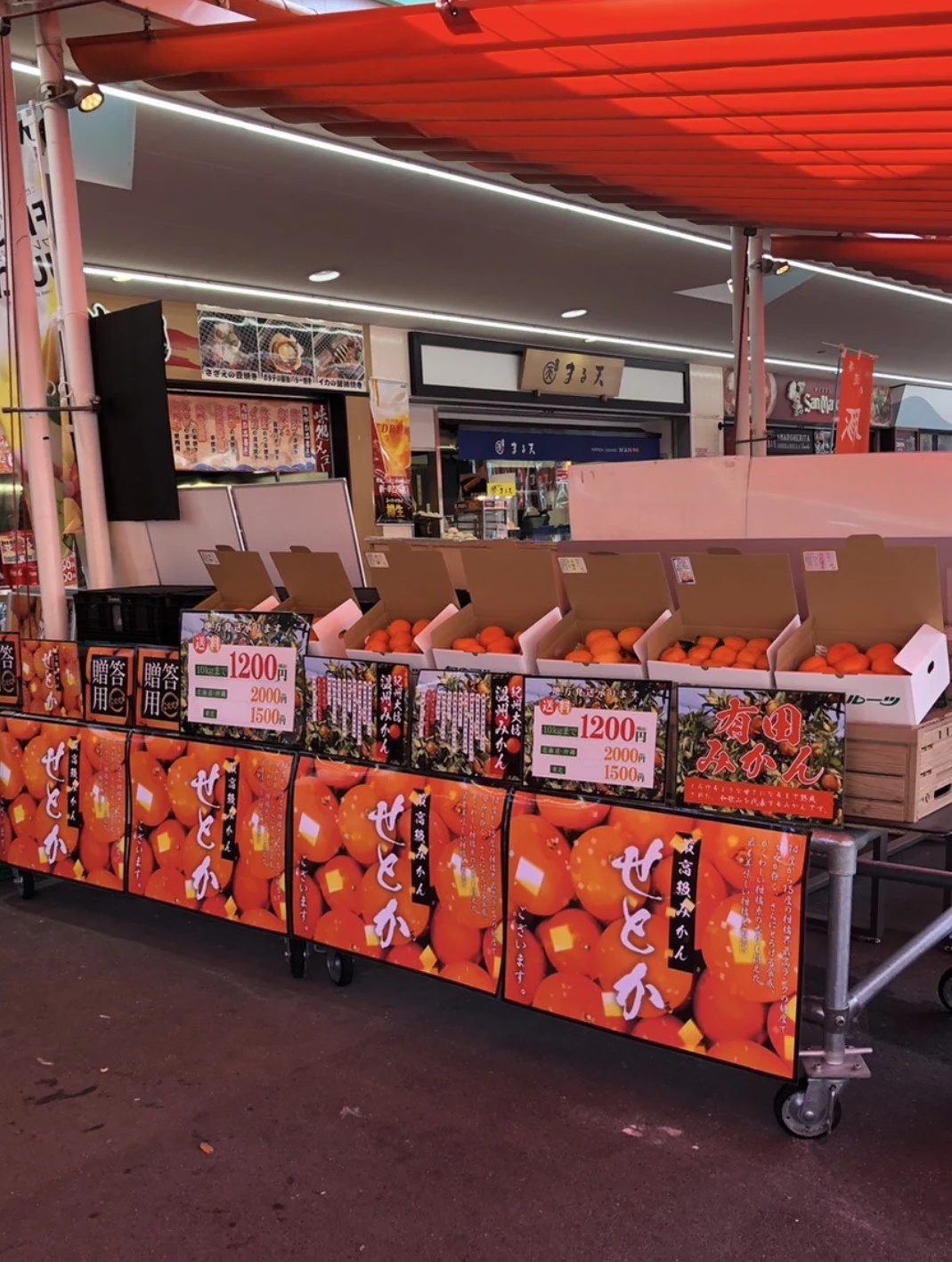 柑橘の箱が並ぶみかん屋の店頭