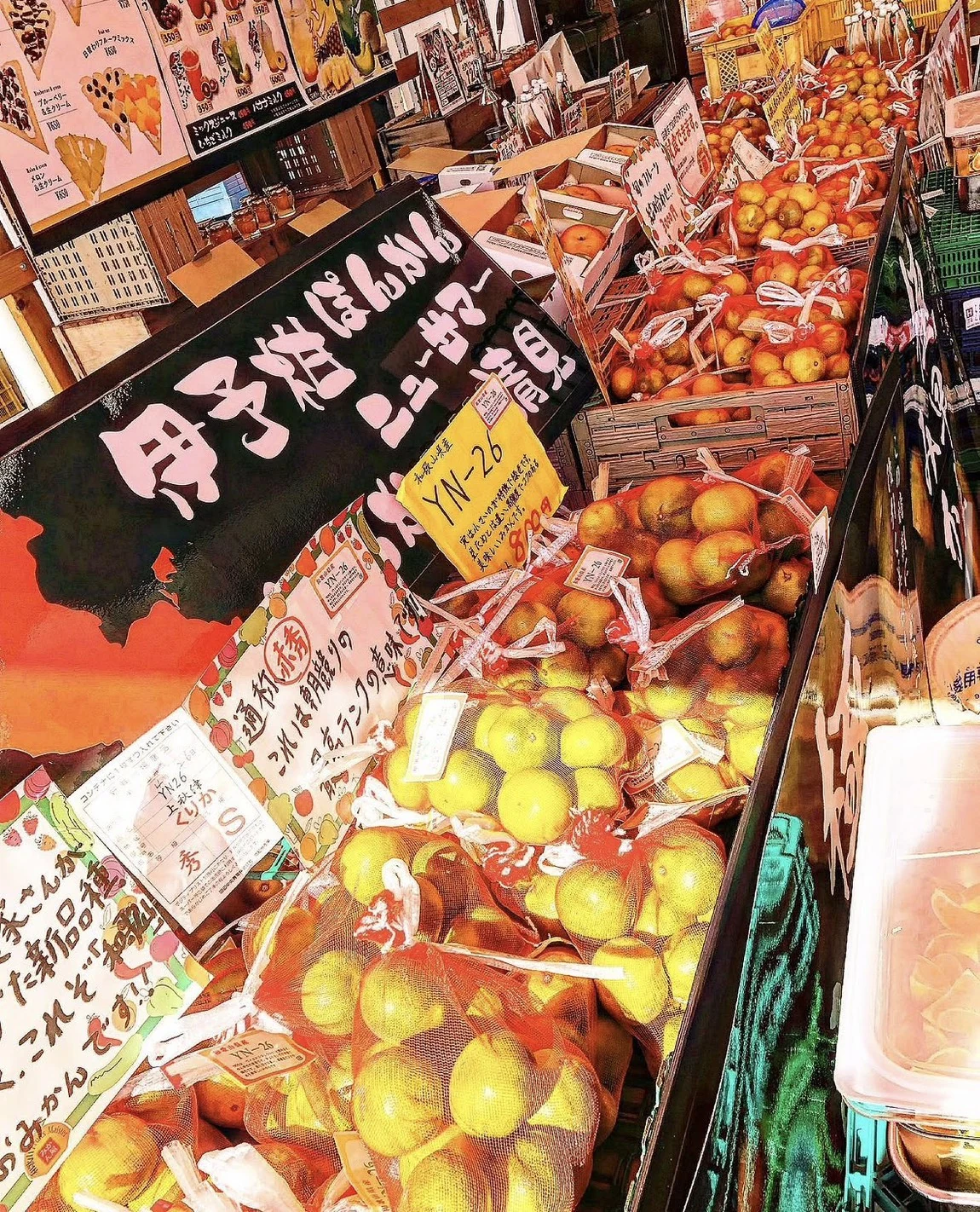 季節の果物が並ぶ店内の売り場