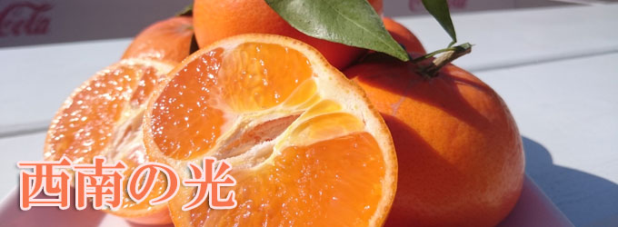 西南の光