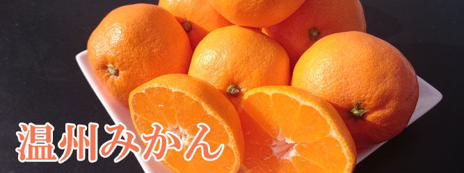 温州みかん