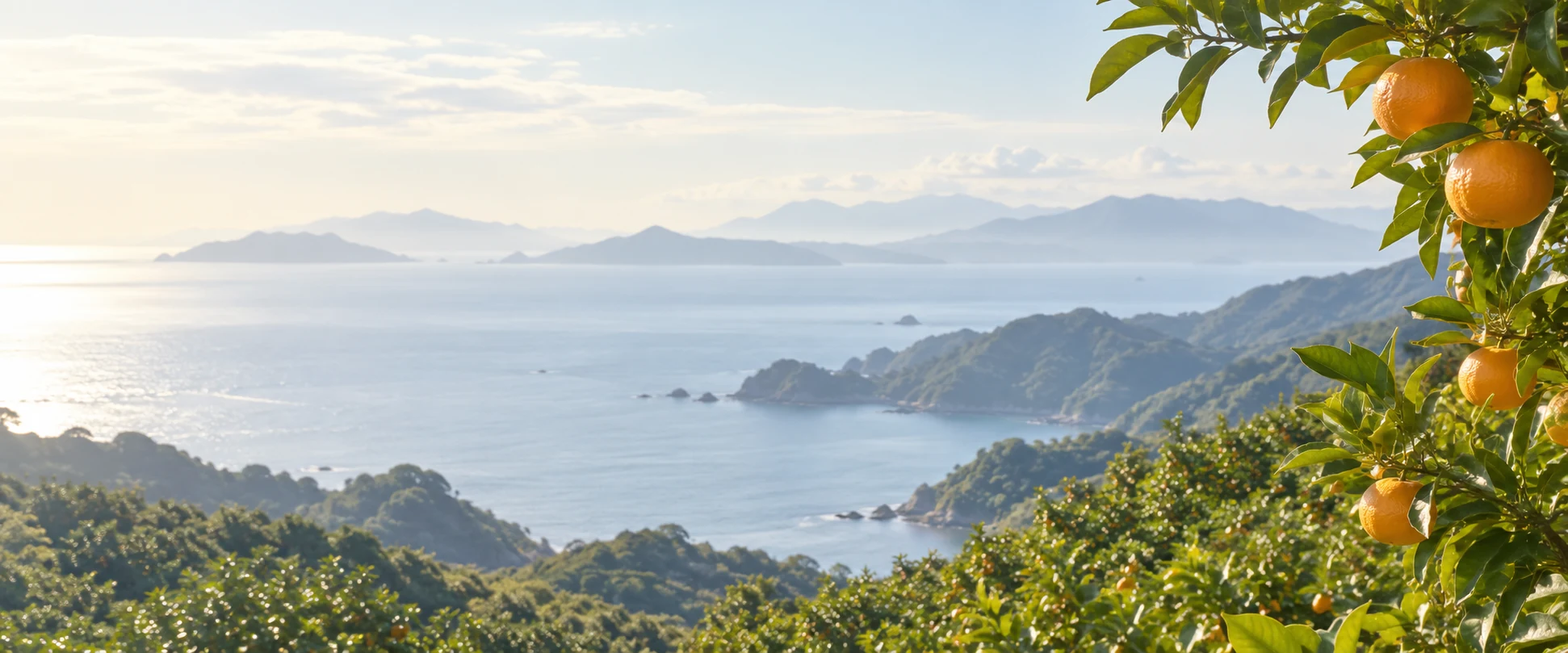 海と山が広がる風景