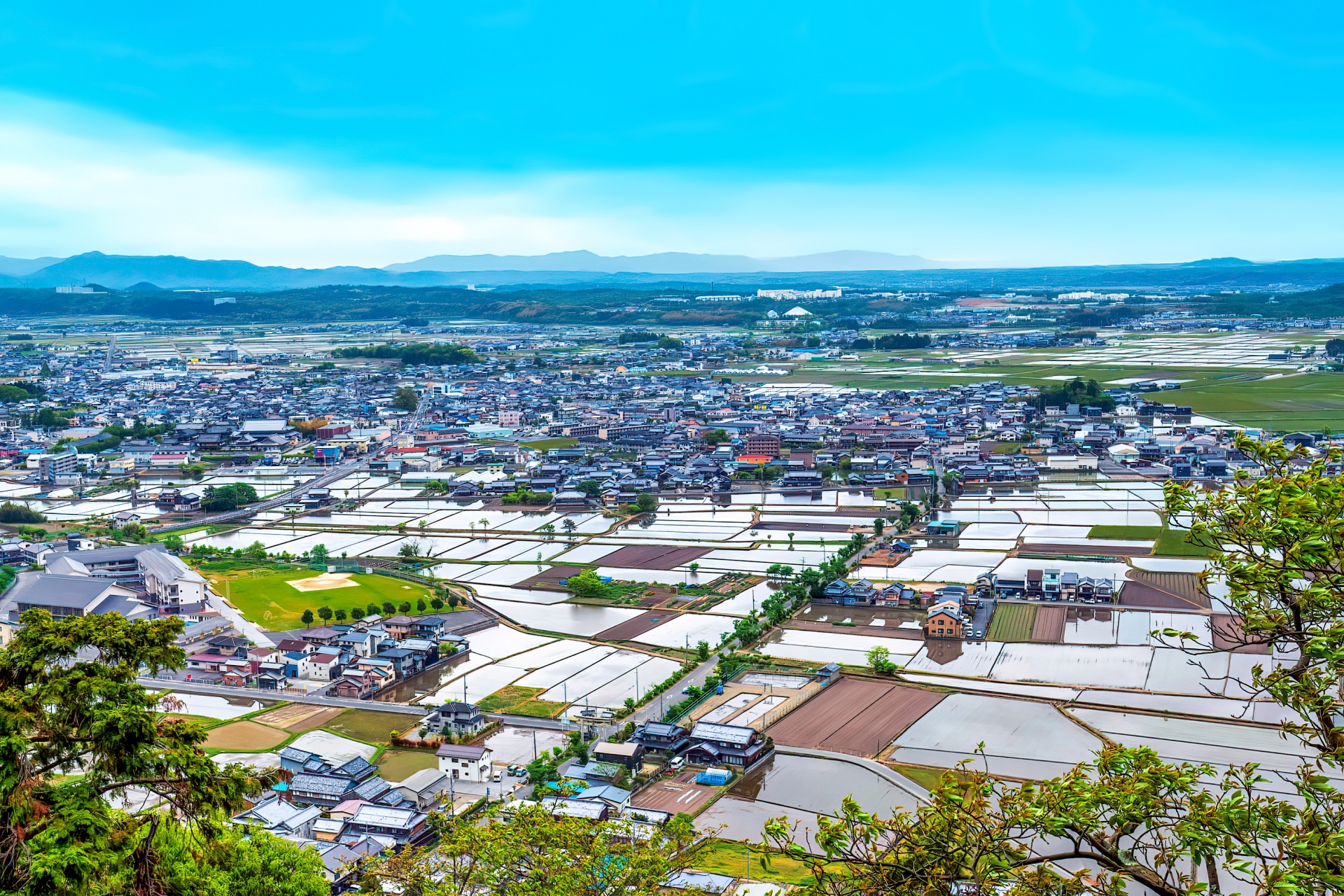 不動産仲介